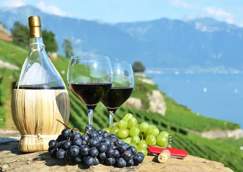 Swiss Culinary Experiences view 2